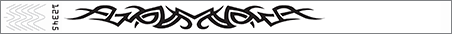 write-on wristband