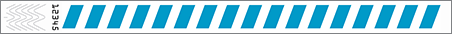 write-on wristband